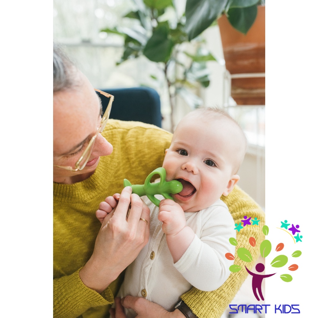 Gặm nướu + bàn chải đánh răng Dr Brown’s 2 trong 1 100% silicone – Đậu Xanh Peapod