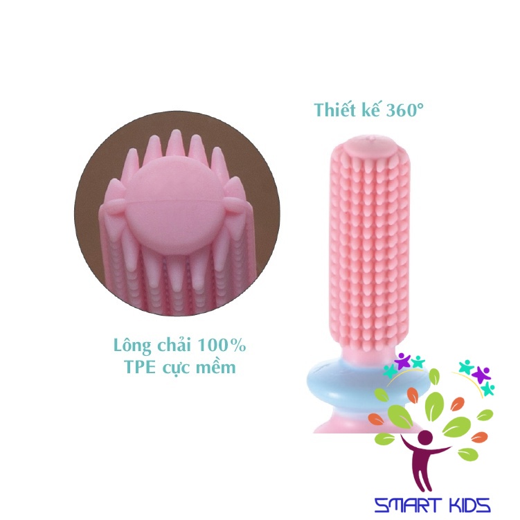 BÀN CHẢI BƯỚC 2 T.L.I RICHELL