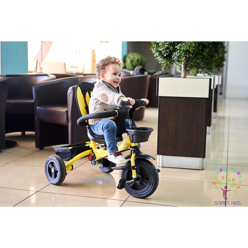 Xe nadle 3 bánh có mái che cao cấp