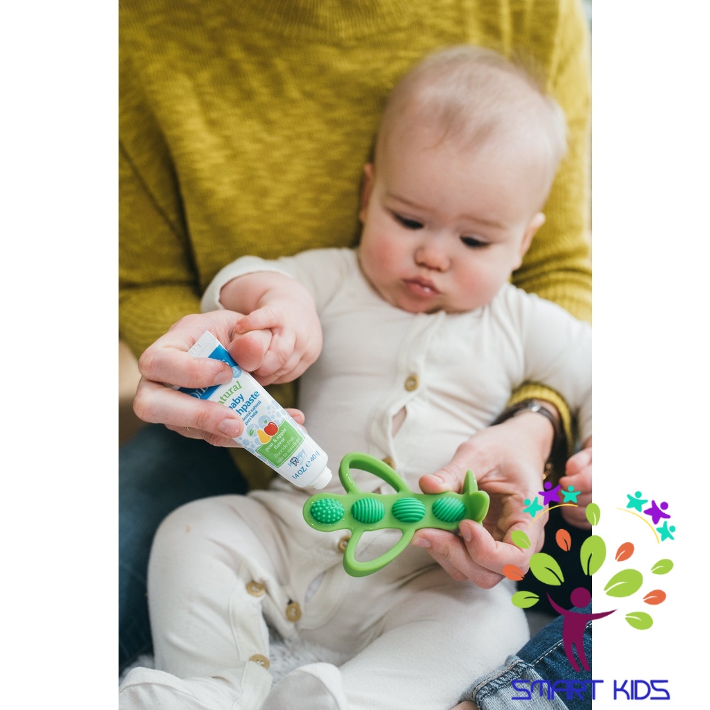 Gặm nướu + bàn chải đánh răng Dr Brown’s 2 trong 1 100% silicone – Đậu Xanh Peapod