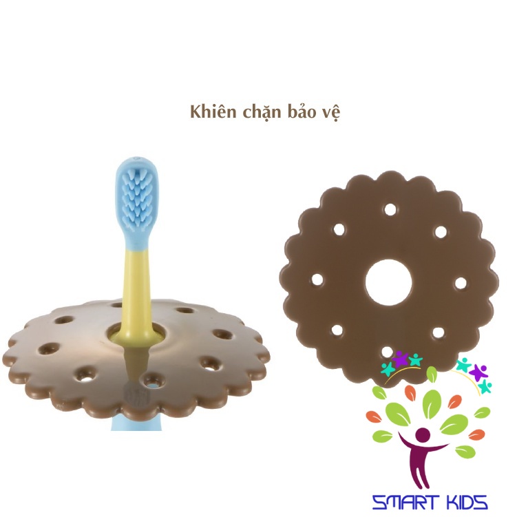 BÀN CHẢI BƯỚC 3 T.L.I RICHELL
