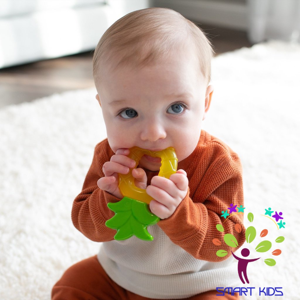 Gặm nướu Dr Brown’s AquaCool Water hình quả dứa và quả táo.