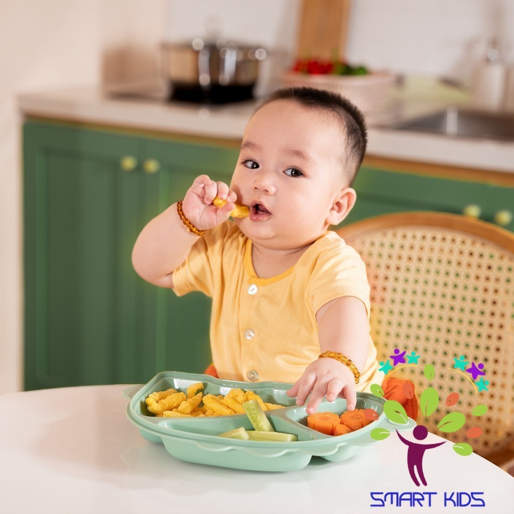 Khay ăn Dặm Khủng Long Cho Bé Fatz Baby FB8301SS