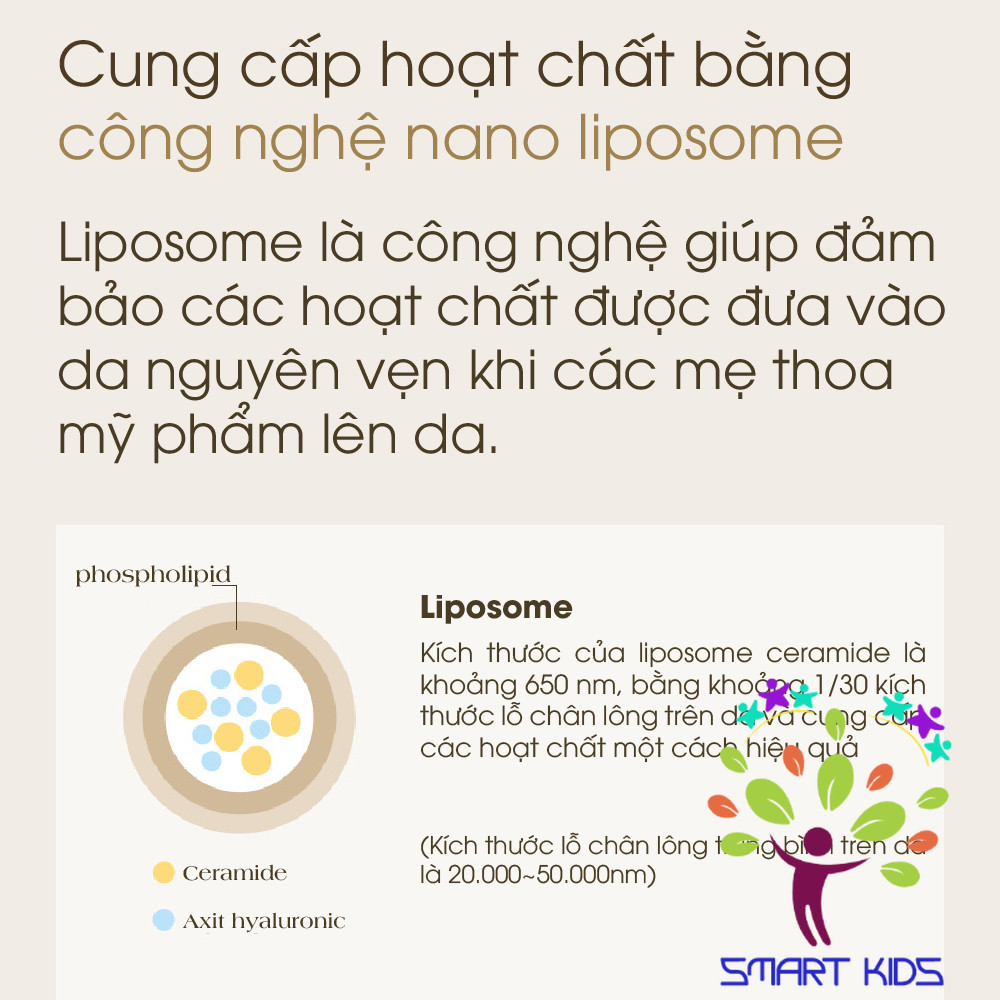 Kem Rạn Da Cho Bà Bầu ATONO2, Giúp Chống Rạn Da Trước Và Sau Sinh, Giảm Mờ Thâm Sẹo, Made in Korea