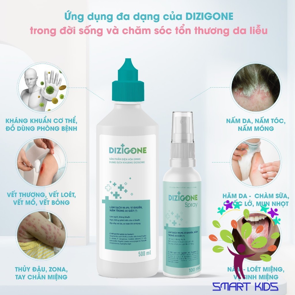 Dung Dịch Kháng Khuẩn Dizigone 500ml