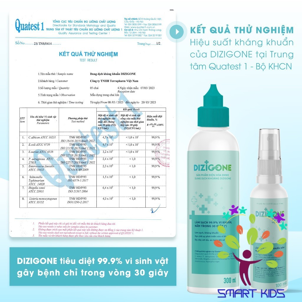 Dung Dịch Kháng Khuẩn Dizigone Spray 100ml dạng xịt