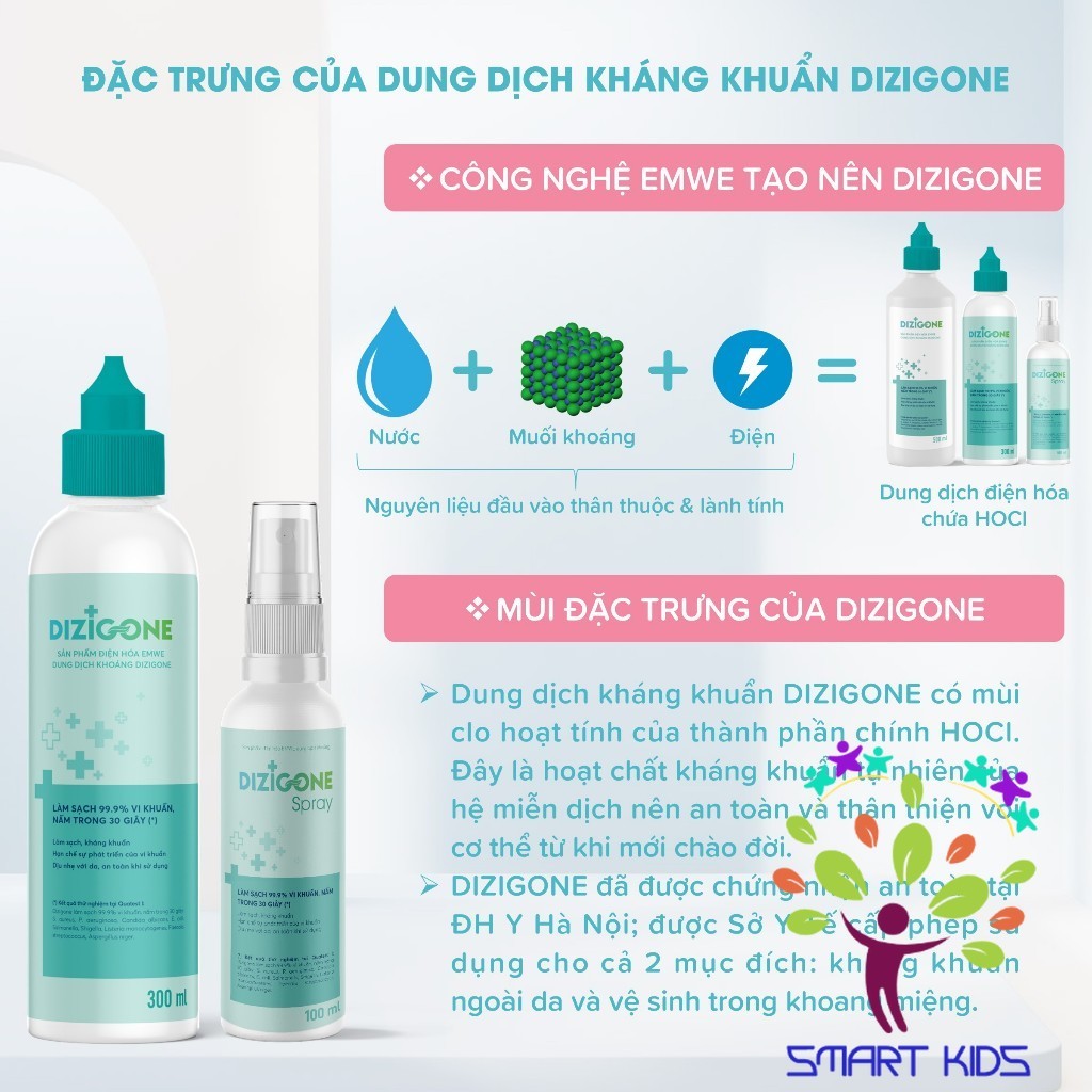Dung Dịch Kháng Khuẩn Dizigone 300ml