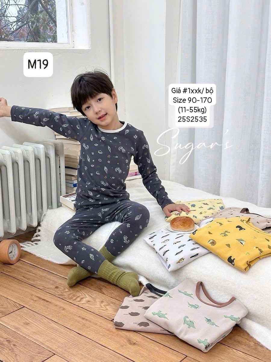 Bộ ngủ dài tay hãng Ambb mẫu mới cho bé trai