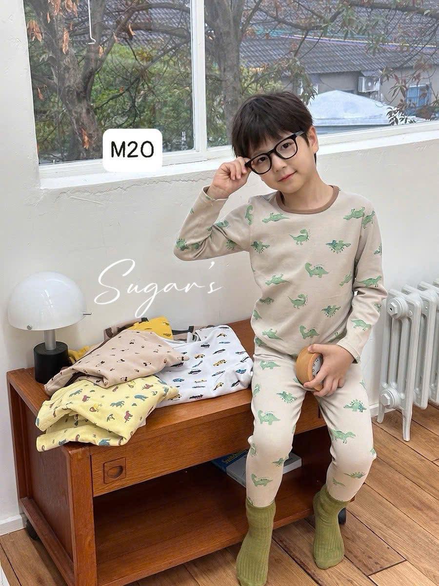 Bộ ngủ dài tay hãng Ambb mẫu mới cho bé trai