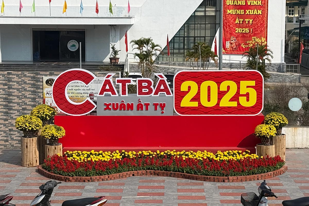 Mẫu thi công cụm tiểu cảnh hoa Tết Ất Tỷ tại đảo Cát Bà do Viet Anh Production thực hiện