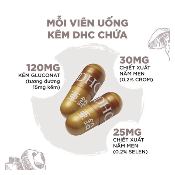 Zinc 30 Ngày G/30v DHC