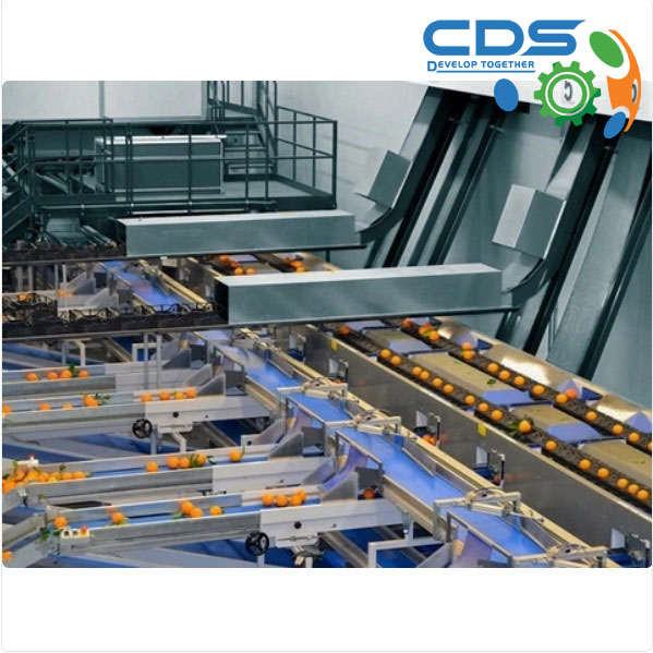 Product Sorting System – Convenient for Industry