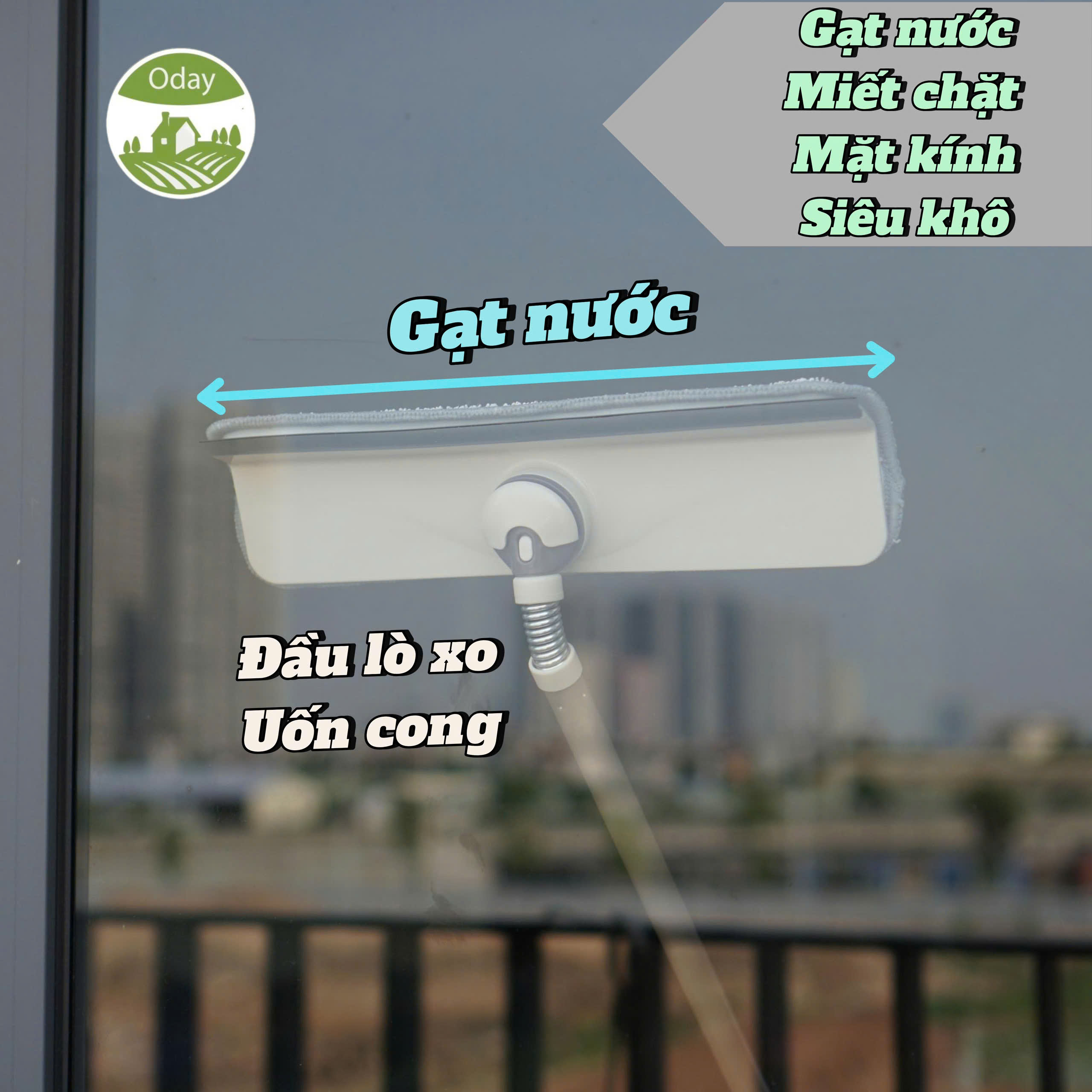 Cây lau kính Oday C5