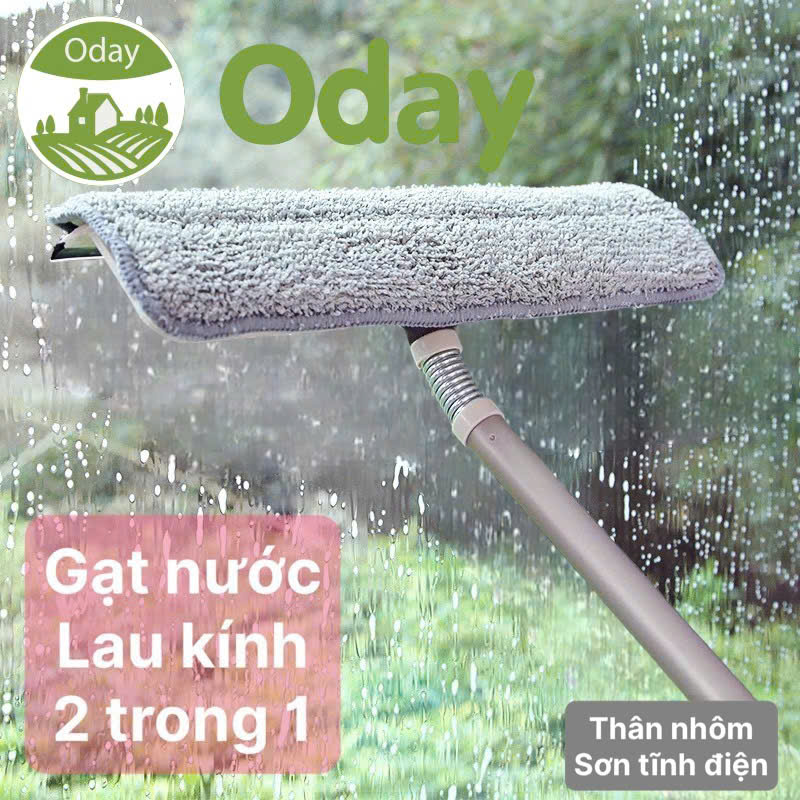 Cây lau kính Oday C5