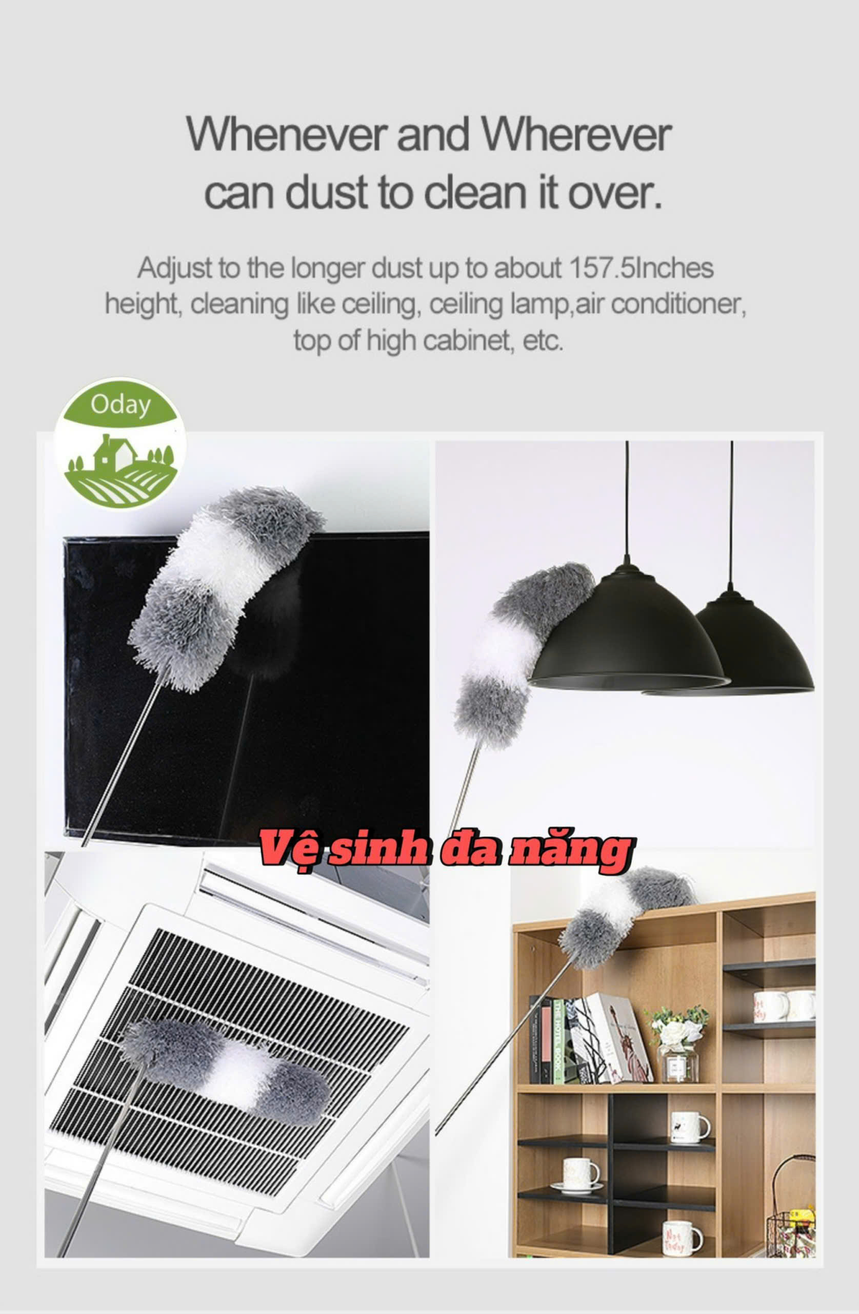 Cây lau bụi phất trần Oday L7 (L7P)