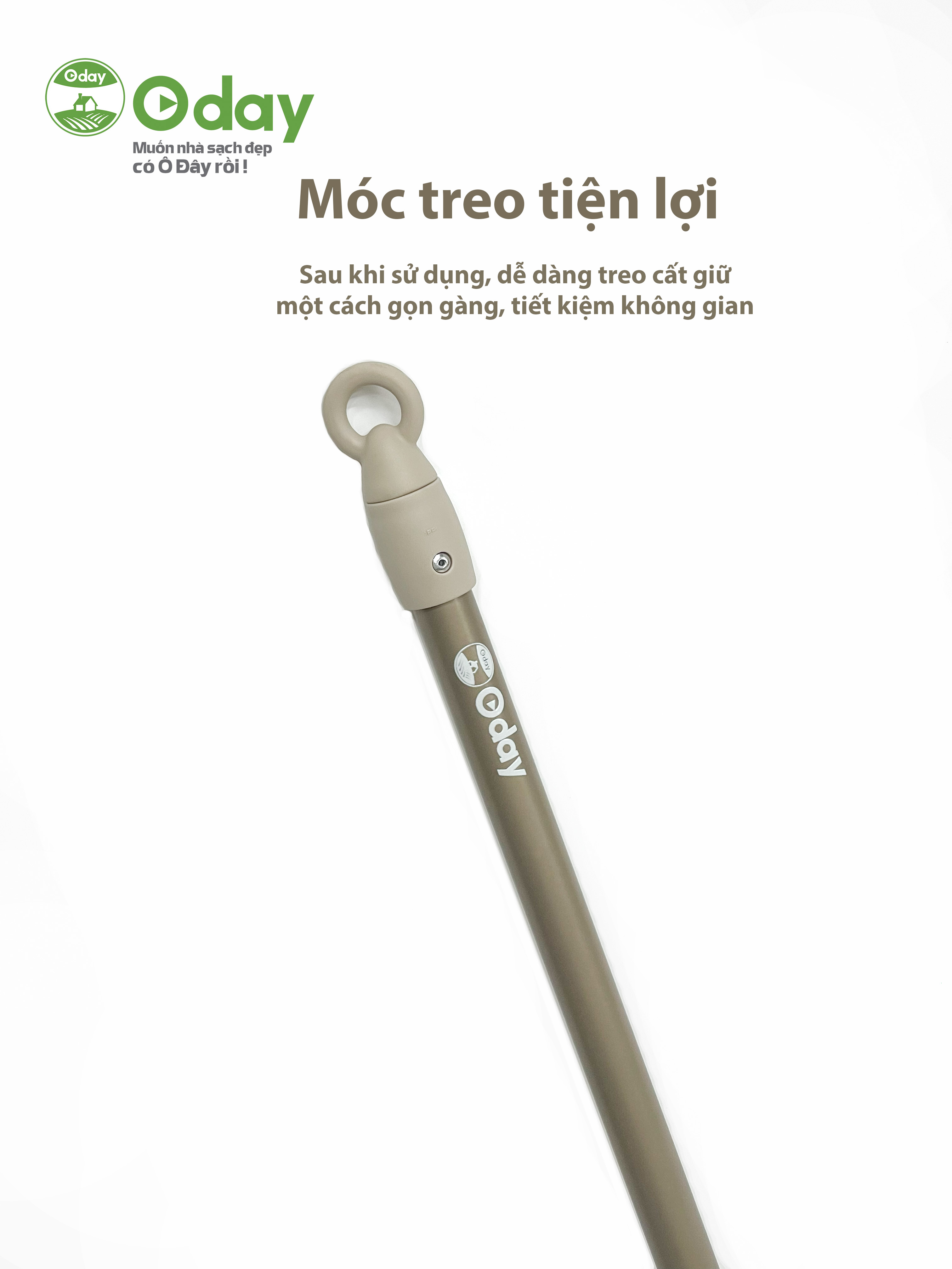 Cây lau kính Oday C3