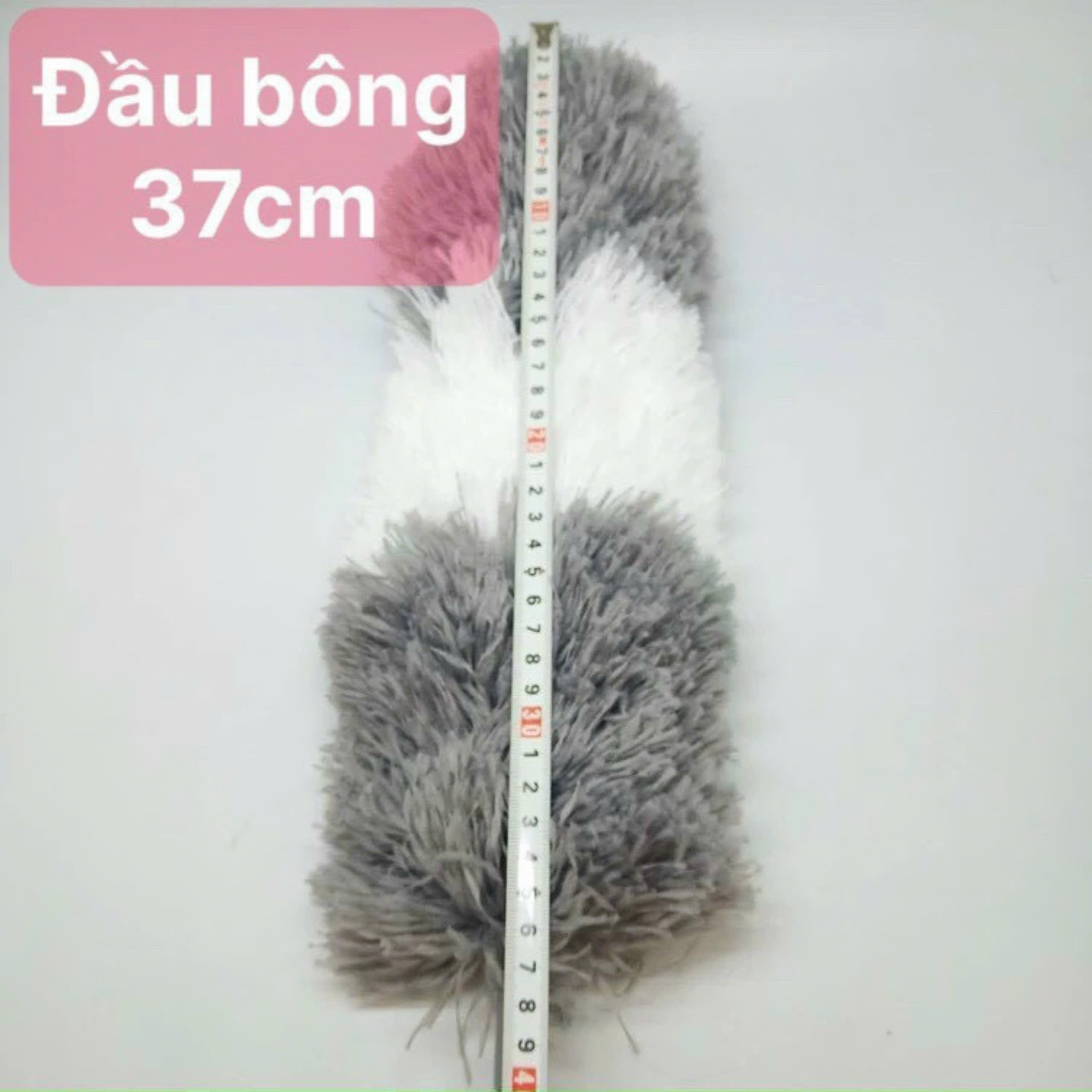 Cây lau bụi phất trần Oday L7 (L7P)
