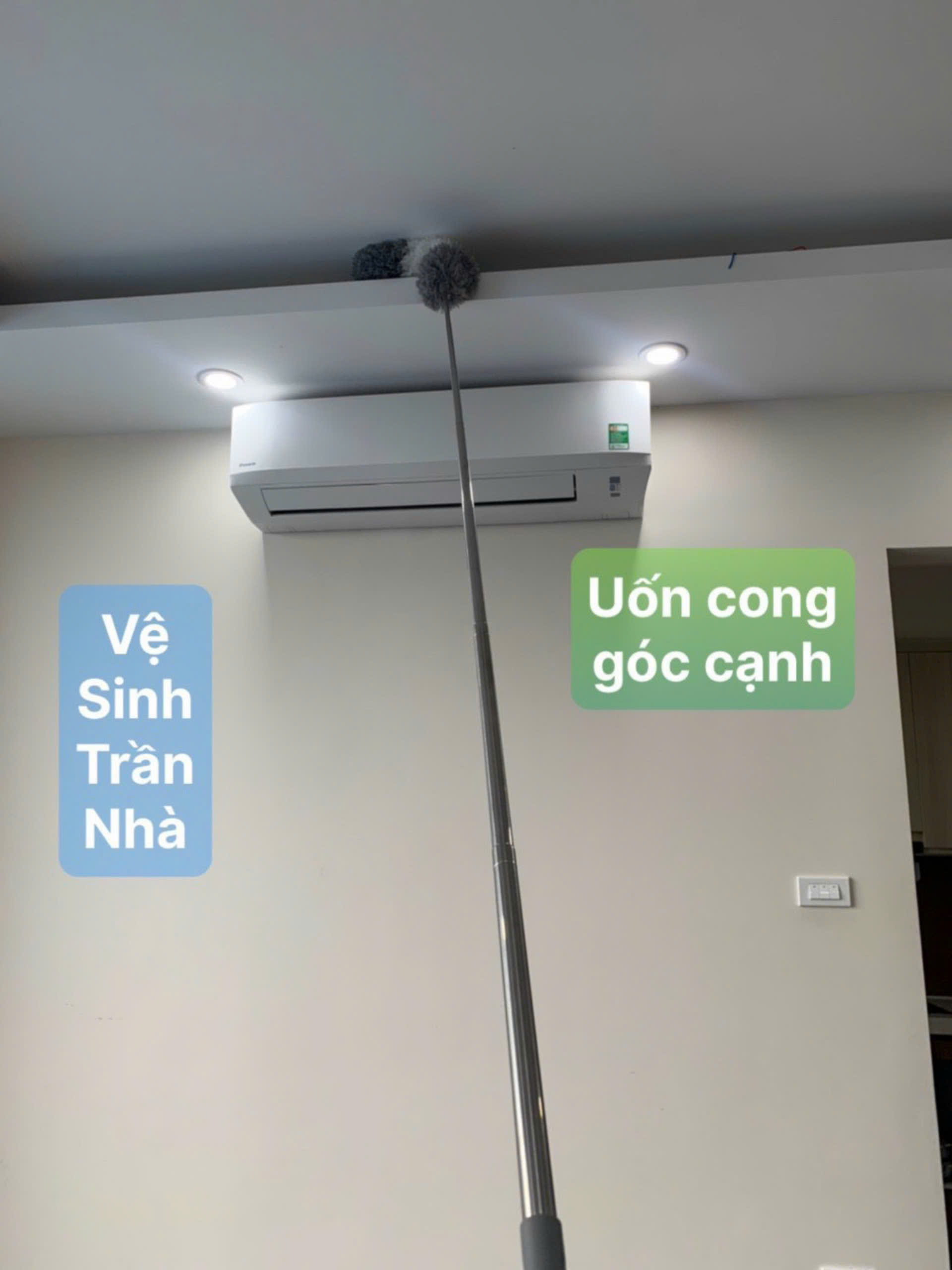 Cây lau bụi phất trần Oday L7 (L7P)