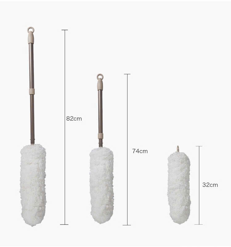 Cây lau bụi phất trần Oday L1