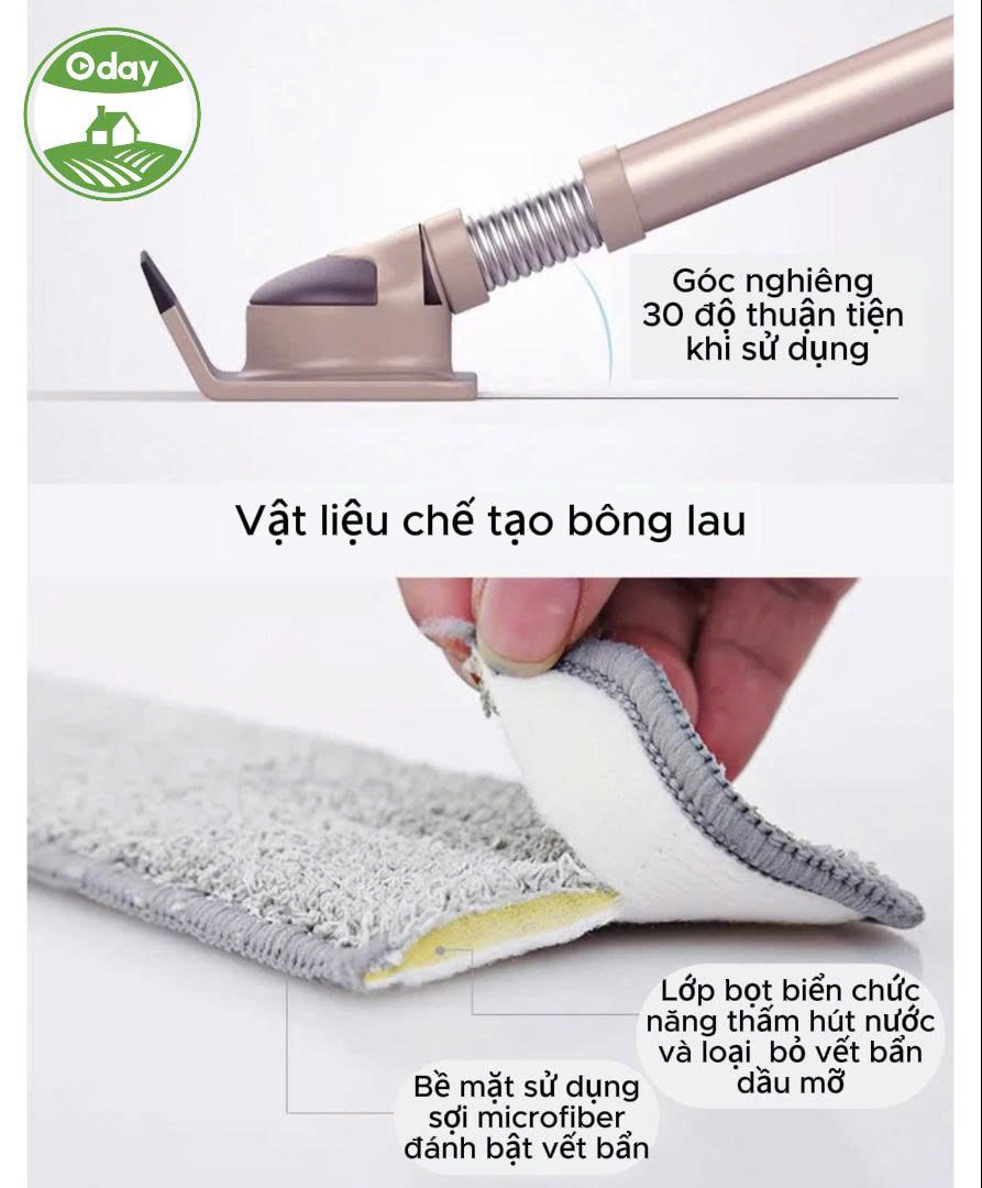 Cây lau kính Oday C5