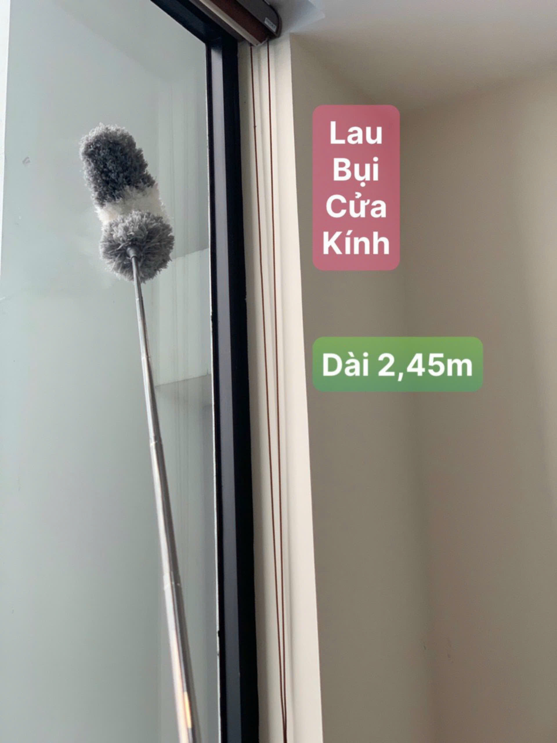 Cây lau bụi phất trần Oday L7 (L7P)