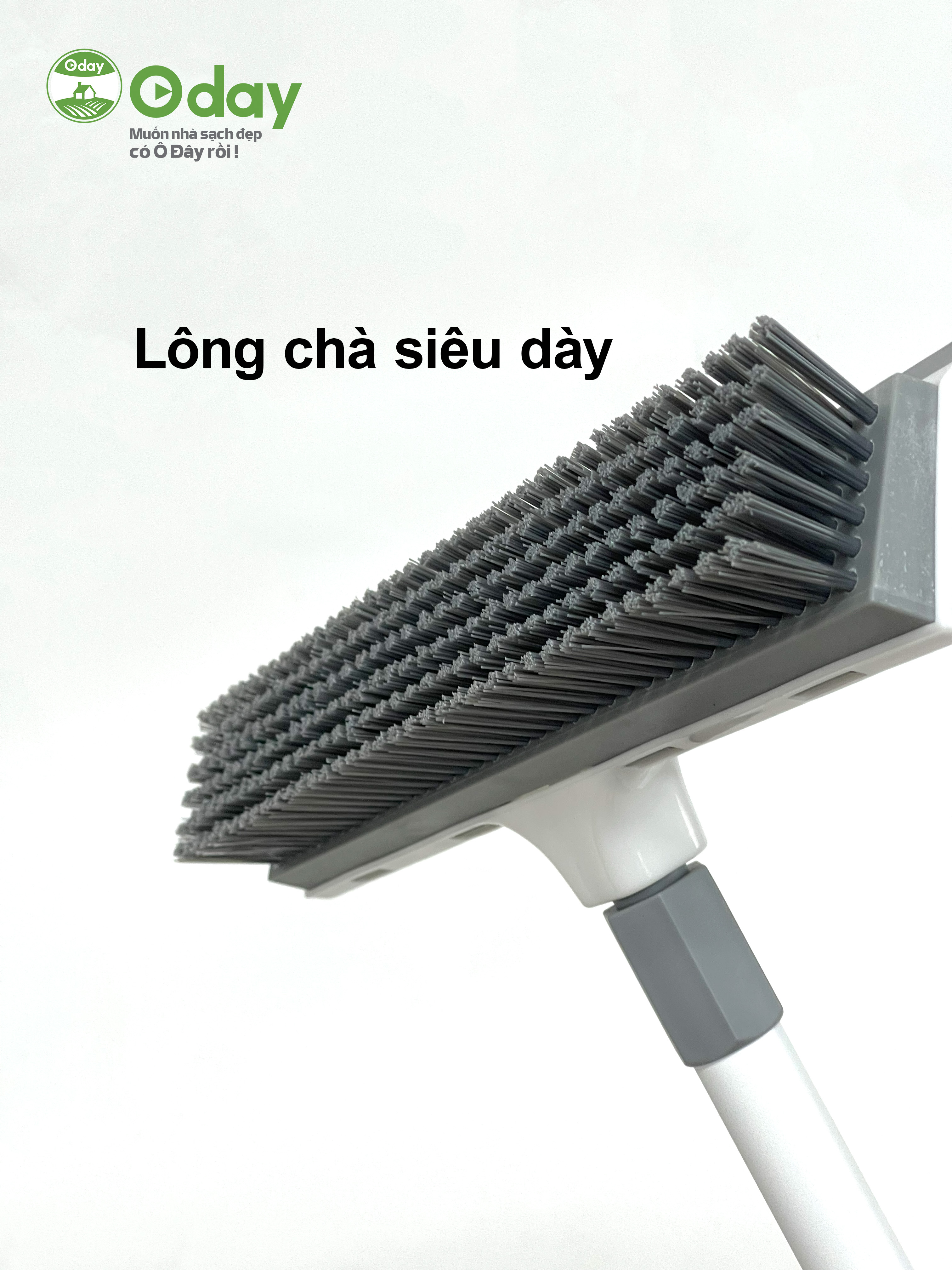 Cây chà sàn sân vườn Oday YY-C003(L)