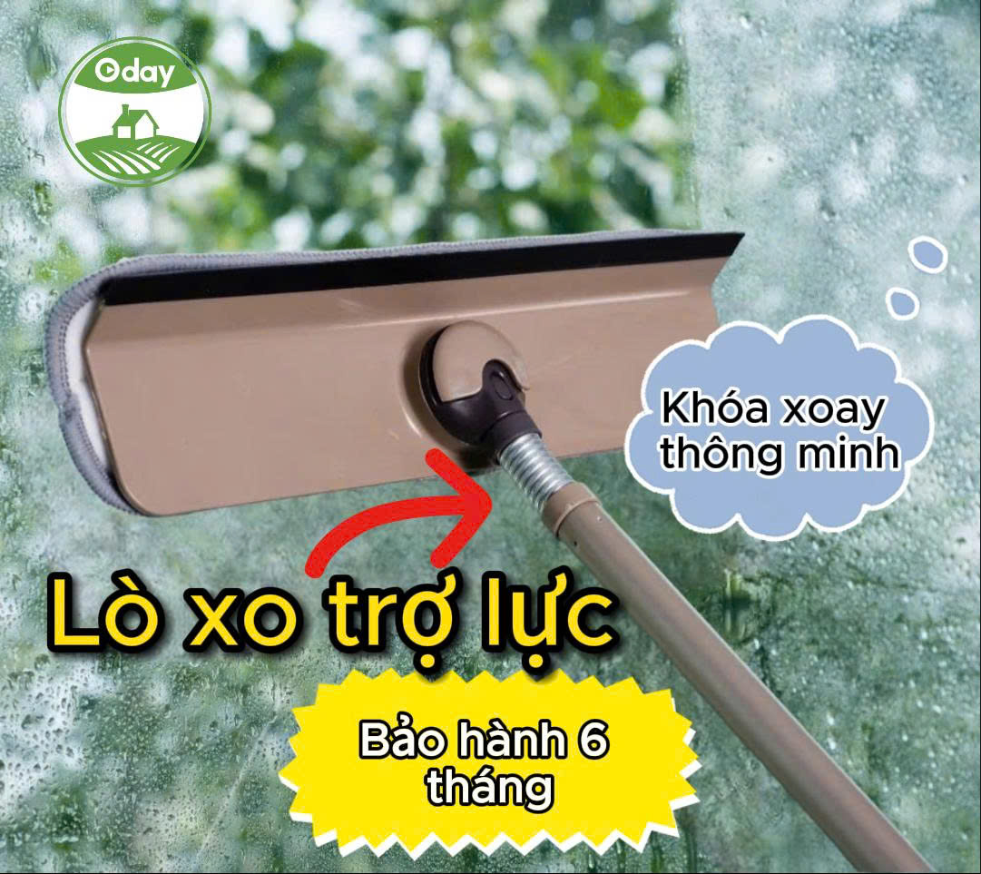 Cây lau kính Oday C5