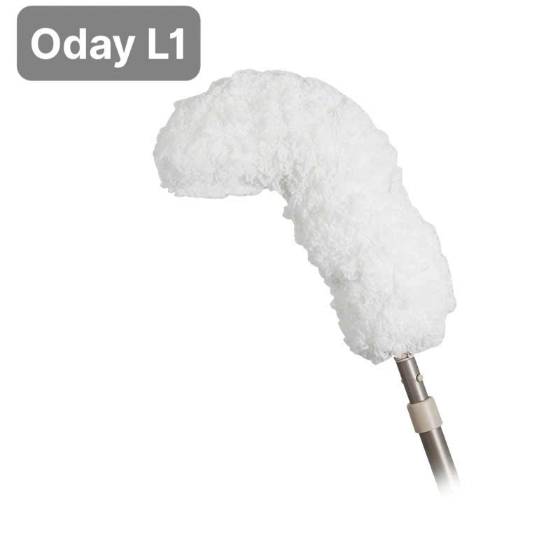 Cây lau bụi phất trần Oday L1