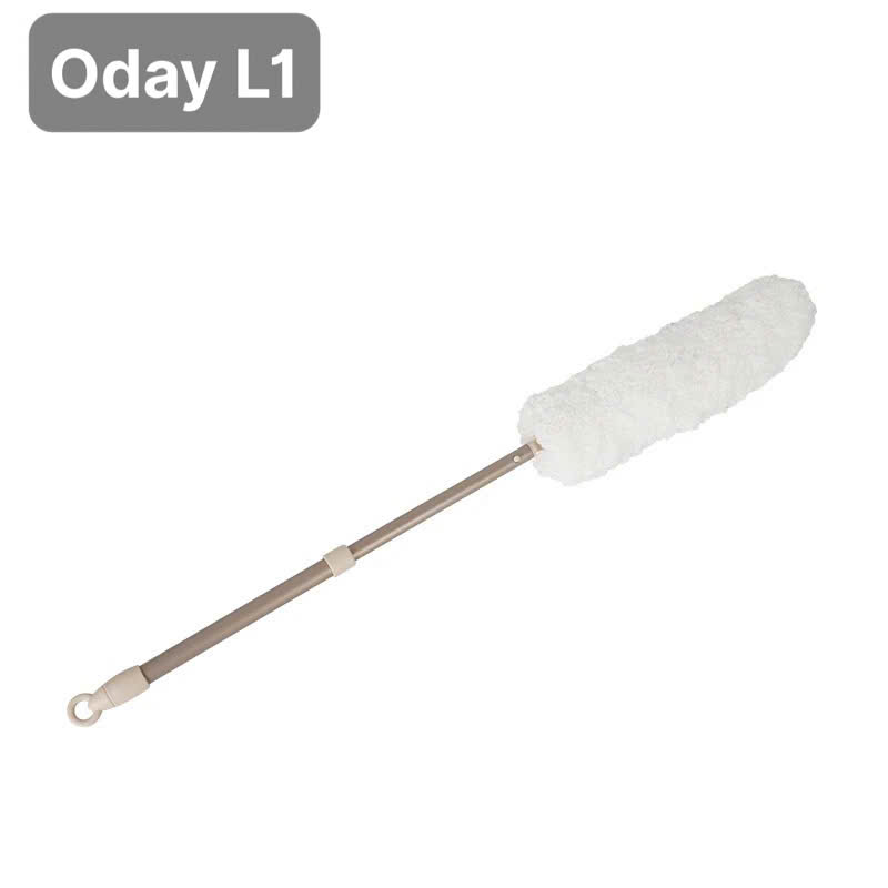 Cây lau bụi phất trần Oday L1