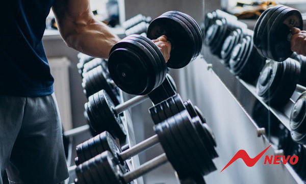 Hướng dẫn tập Gym cho người mới bắt đầu