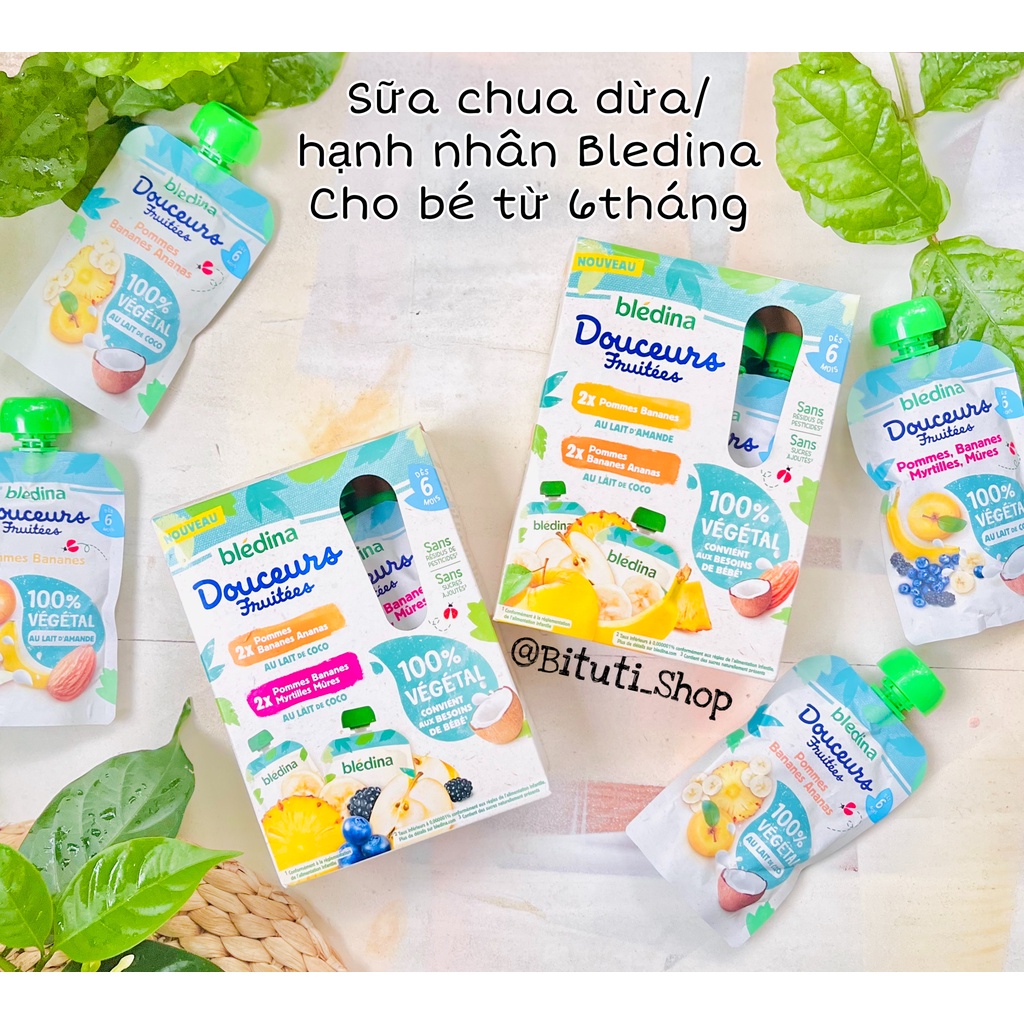 Trái cây nghiền mix sữa dừa Bledina túi 90g
