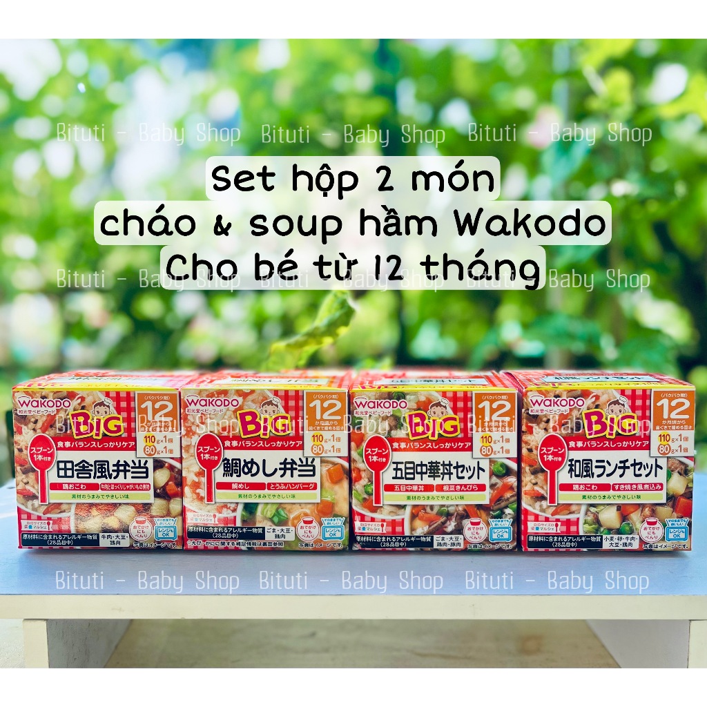 Set hộp Wakodo Big 12m