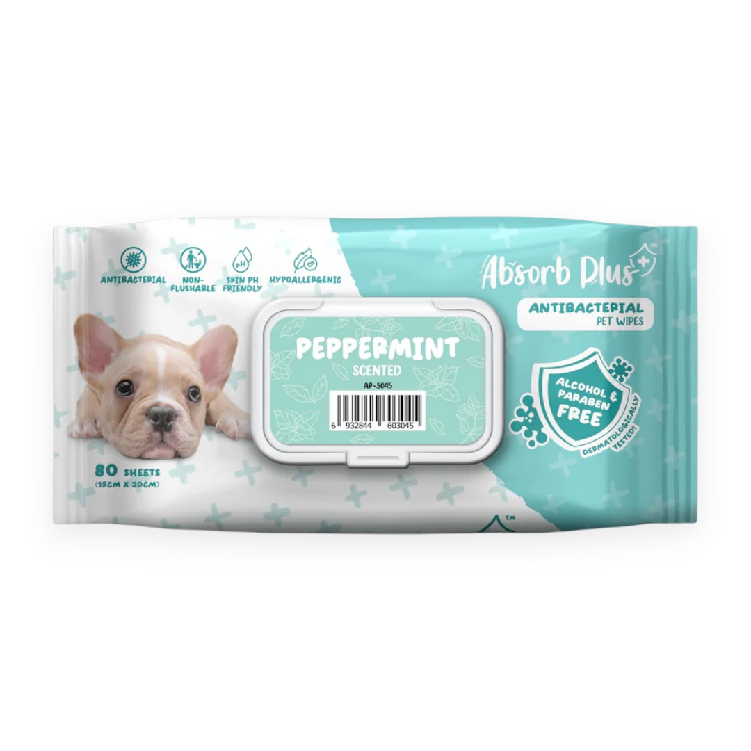 Khăn ướt Absorb Plus Kháng Khuẩn Hương Bạc Hà 80 Tờ Size 15x20 cm cho Chó - Peppermint