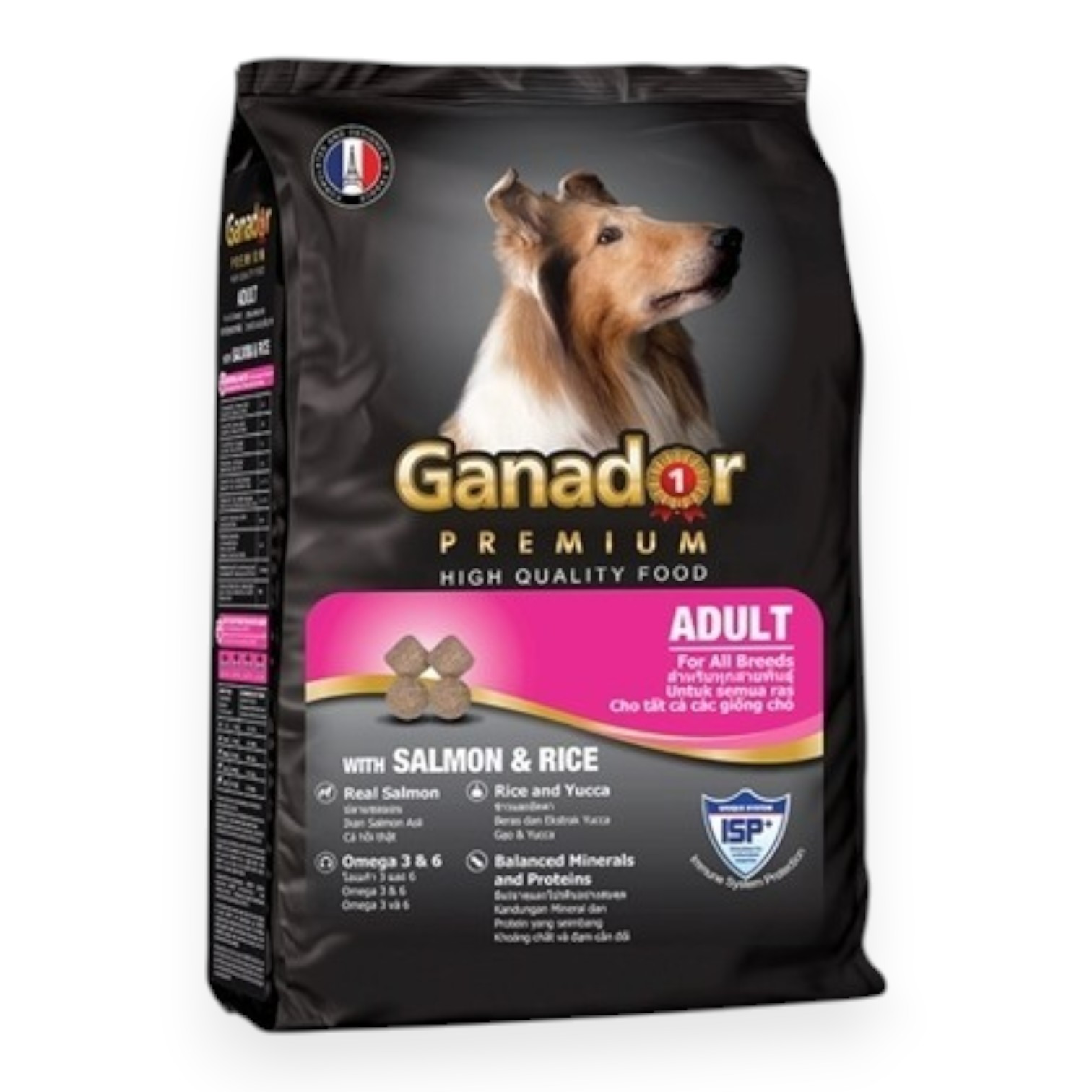 Ganador - Thức ăn hỗn hợp hoàn chỉnh cho chó trưởng thành vị Cá hồi