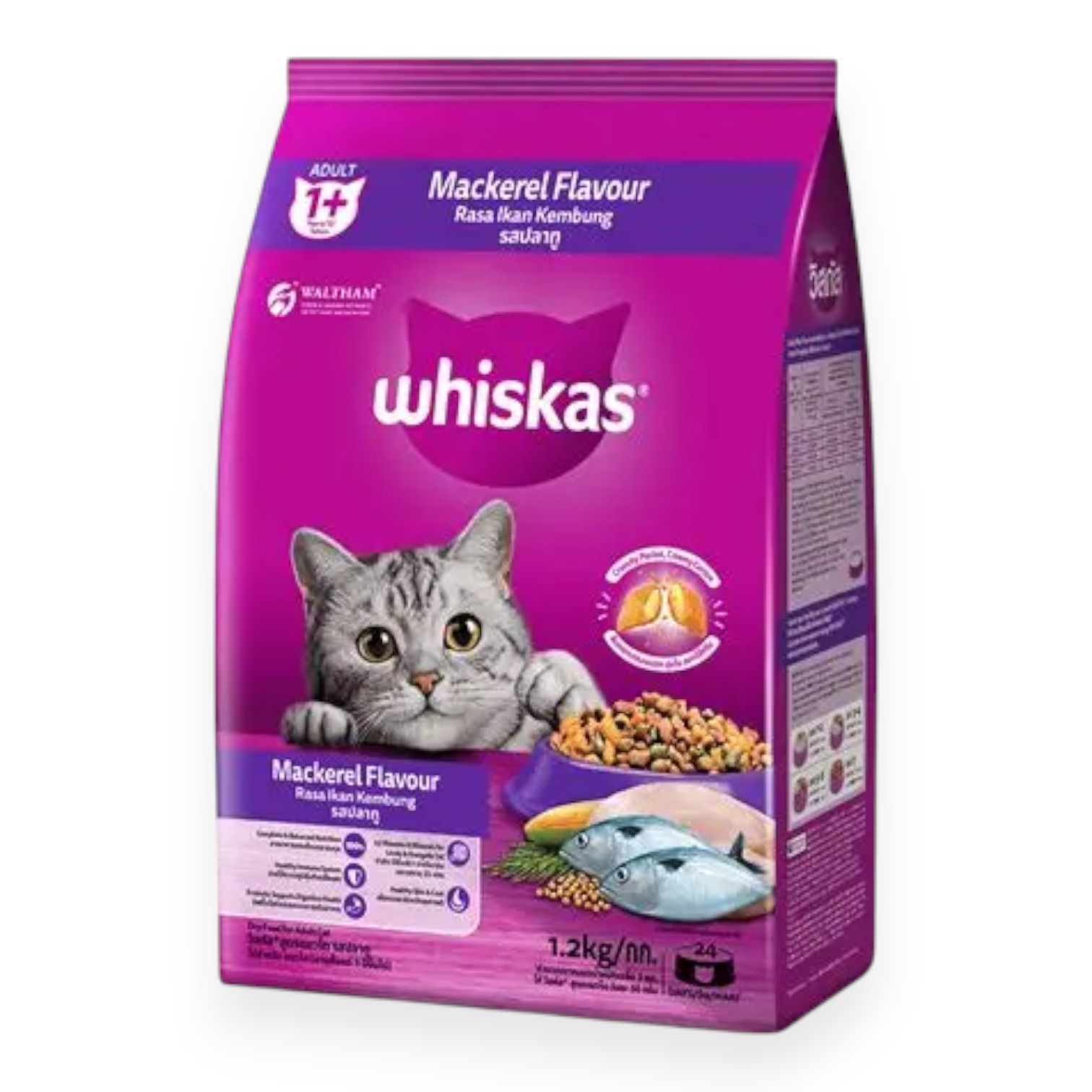 Hạt Whiskas Mèo Con - Vị Cá Thu Bịch 2.7kg cho Mèo - Kitten Mackerel