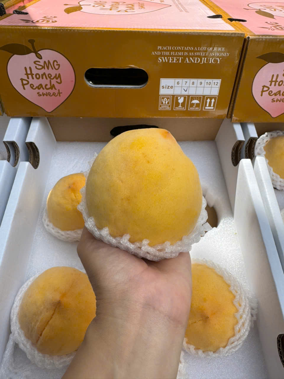 Đào Vàng Bắc Kinh- SMG