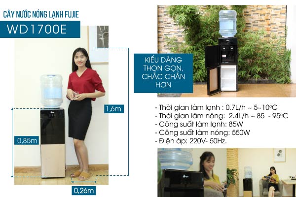 Cây nước nóng lạnh cao cấp 2 vòi FujiE WD1700E - hình 9