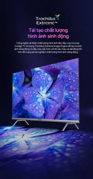 Google Tivi Coocaa 43Z72 Full HD 43 inch - hình 8