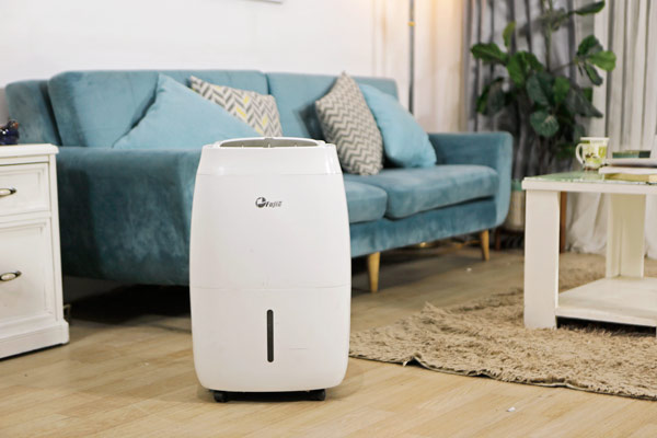 Máy hút ẩm dân dụng FujiE HM-920EC