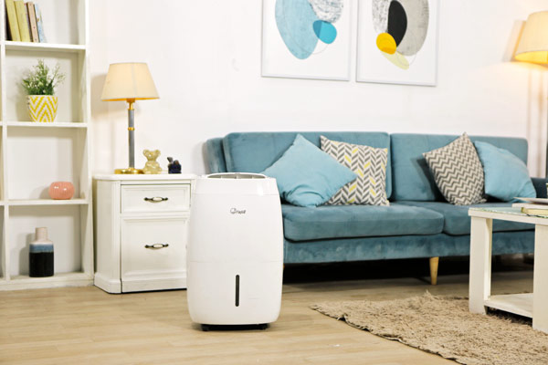 Máy hút ẩm dân dụng FujiE HM-920EC - hình 3