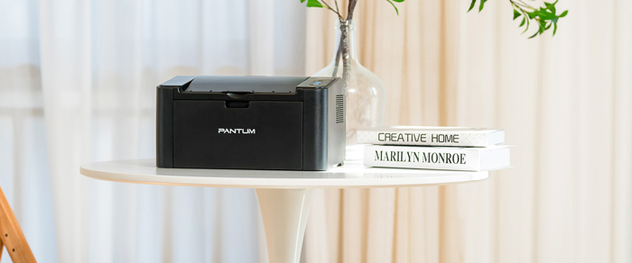 Máy in đơn chức năng Pantum P2516 (Toner Cartridge PC-211KEV) - hình 2