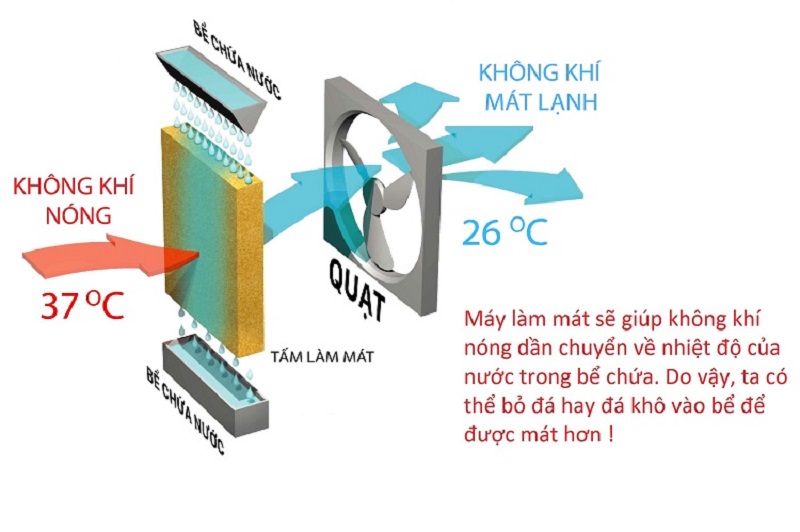 Máy làm mát không khí Kungfu KF - QLM50M - hình 4