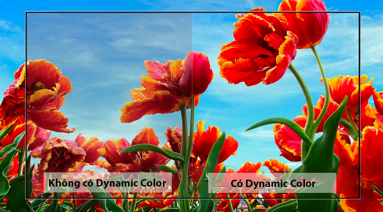 Smart Tivi LG 32 inch 32LM636BPTB HD Ready ThinQ AI MỚI 2021 - hình 3