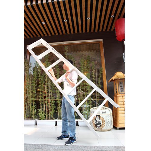 Thang nhôm ADVINDEQ AV307 (White) 14 bậc - hình 3