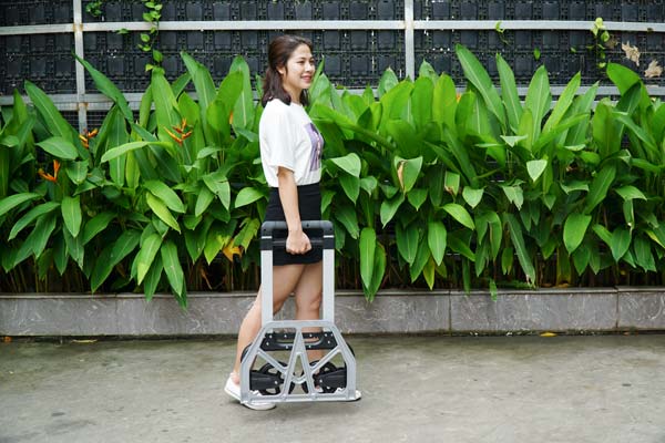Xe đẩy hàng 2 bánh Advindeq TL-Z160 - hình 2