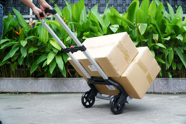 Xe đẩy hàng 2 bánh Advindeq TL-Z160 - hình 5