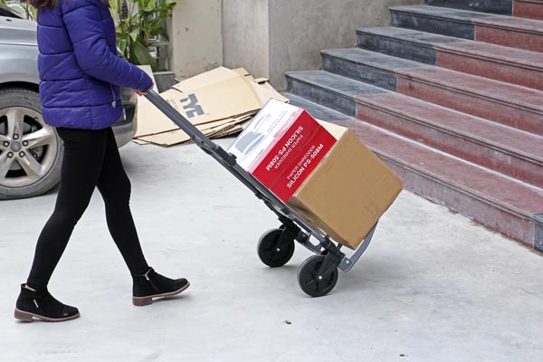 Xe đẩy hàng 2 bánh rút gọn ADVINDEQ TL-110C - hình 5