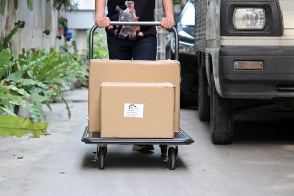 Xe đẩy hàng 4 bánh sàn thép phủ nhám ADVINDEQ HT-320 - hình 5