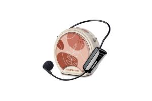 Loa trợ giảng không dây E20W (Mic không dây cài đầu)