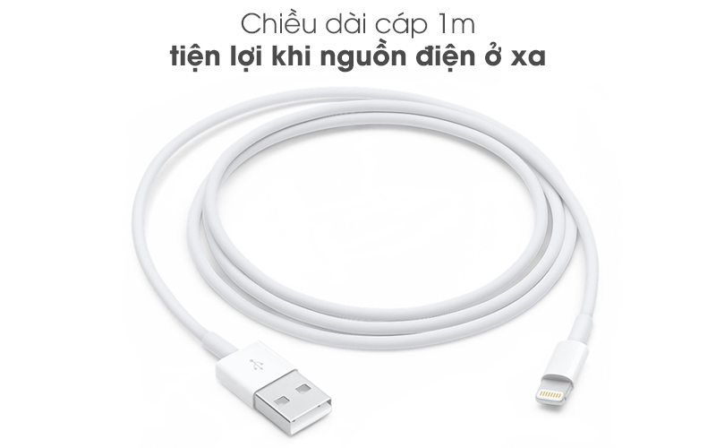 CABLE USB-C TO LIGHTNING CABLE (2 M)-ITS